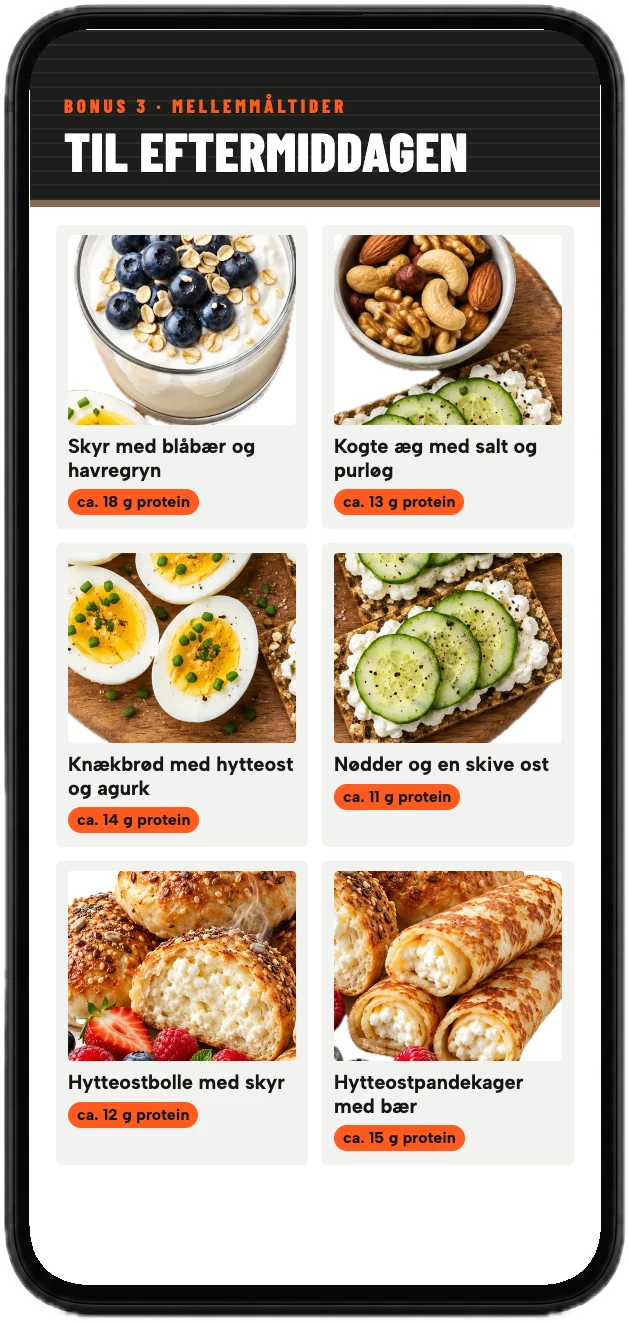 Siden Til eftermiddagen med seks mellemmåltider og gram protein, vist på en mobil